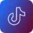 TikTok to MP3